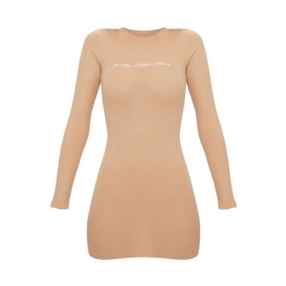 Stone Embroidered Ribbed Bodycon Dress